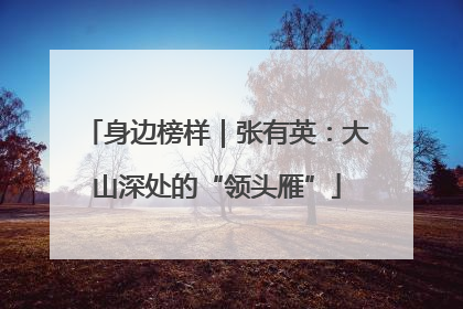 身边榜样｜张有英：大山深处的“领头雁”