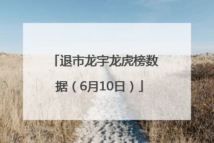 退市龙宇龙虎榜数据（6月10日）