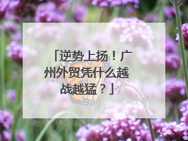逆势上扬！广州外贸凭什么越战越猛？