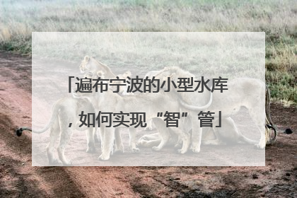 遍布宁波的小型水库，如何实现“智”管