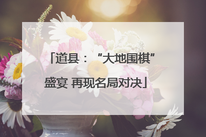 道县：“大地围棋”盛宴 再现名局对决