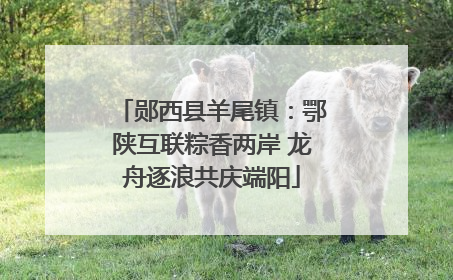 郧西县羊尾镇：鄂陕互联粽香两岸 龙舟逐浪共庆端阳