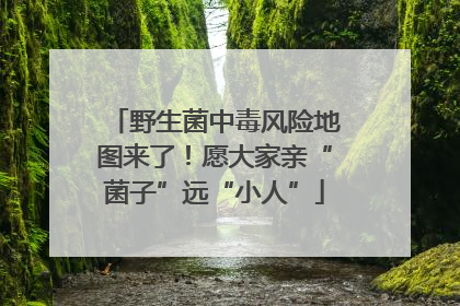 野生菌中毒风险地图来了！愿大家亲“菌子”远“小人”