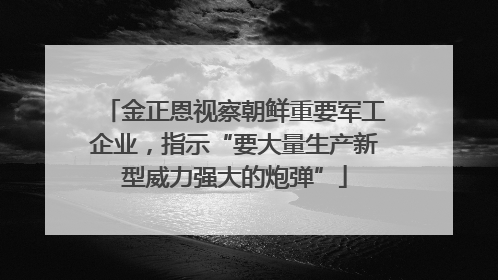 金正恩视察朝鲜重要军工企业，指示“要大量生产新型威力强大的炮弹”