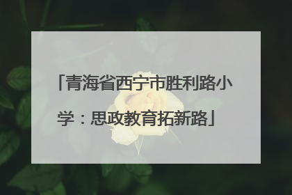 青海省西宁市胜利路小学：思政教育拓新路