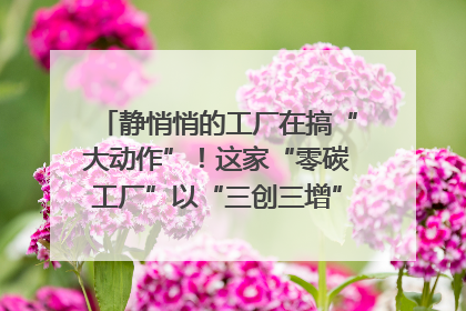 静悄悄的工厂在搞“大动作”！这家“零碳工厂”以“三创三增”探索共富新路径｜网络名人四川行