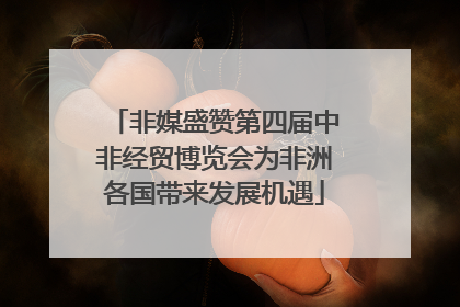 非媒盛赞第四届中非经贸博览会为非洲各国带来发展机遇