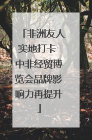 非洲友人实地打卡 中非经贸博览会品牌影响力再提升