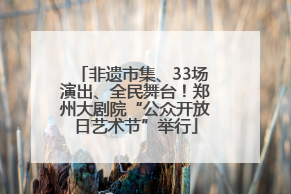 非遗市集、33场演出、全民舞台！郑州大剧院“公众开放日艺术节”举行