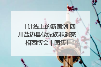 针线上的新国潮 四川盐边县傈僳族非遗亮相西博会｜图集