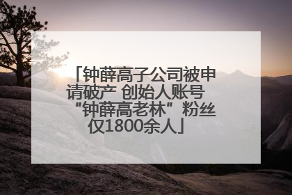 钟薛高子公司被申请破产 创始人账号“钟薛高老林”粉丝仅1800余人