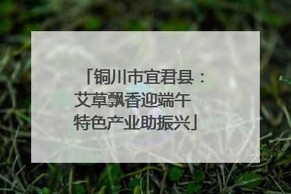 铜川市宜君县：艾草飘香迎端午 特色产业助振兴