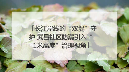 长江岸线的“双堤”守护 武昌社区防溺引入“1米高度”治理视角