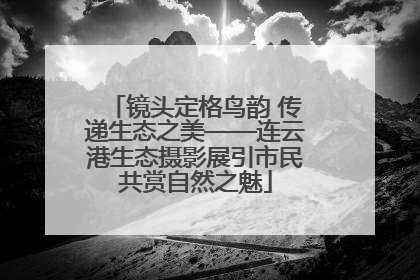 镜头定格鸟韵 传递生态之美——连云港生态摄影展引市民共赏自然之魅