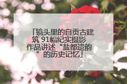 镜头里的自贡古建筑 91幅纪实摄影作品讲述“盐都遗韵”的历史记忆