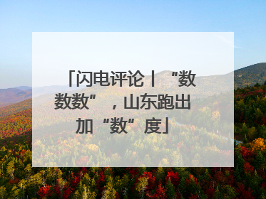 闪电评论丨“数数数”，山东跑出加“数”度