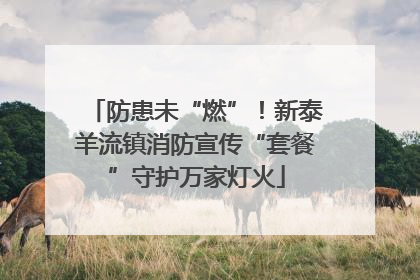 防患未“燃”！新泰羊流镇消防宣传“套餐”守护万家灯火