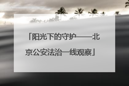 阳光下的守护——北京公安法治一线观察
