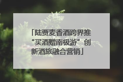 陆贾麦香酒跨界推“买酒赠南极游”创新酒旅融合营销
