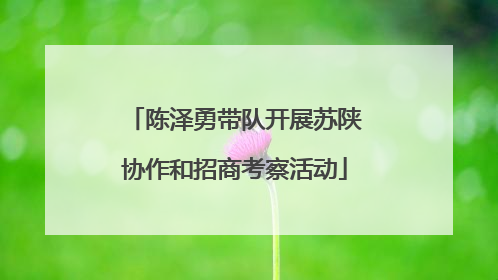 陈泽勇带队开展苏陕协作和招商考察活动