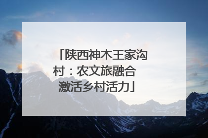 陕西神木王家沟村：农文旅融合 激活乡村活力