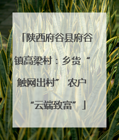陕西府谷县府谷镇高梁村：乡货“触网出村” 农户“云端致富”