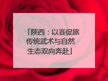 陕西：以赛促旅 传统武术与自然生态双向奔赴