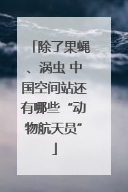 除了果蝇、涡虫 中国空间站还有哪些“动物航天员”