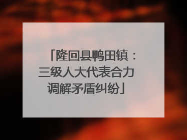 隆回县鸭田镇：三级人大代表合力调解矛盾纠纷