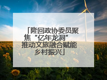 隆回政协委员聚焦“亿年龙洞” 推动文旅融合赋能乡村振兴
