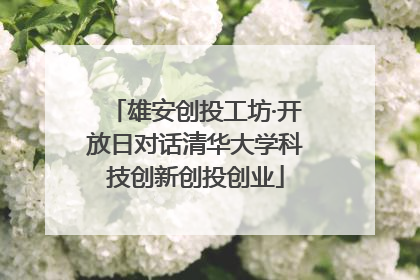 雄安创投工坊·开放日对话清华大学科技创新创投创业