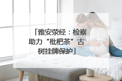 雅安荥经：检察助力“枇杷茶”古树挂牌保护