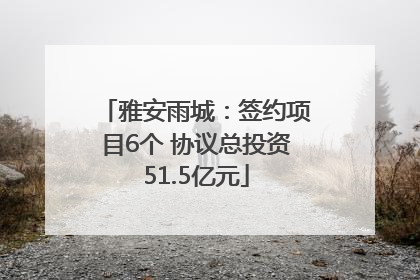 雅安雨城：签约项目6个 协议总投资51.5亿元