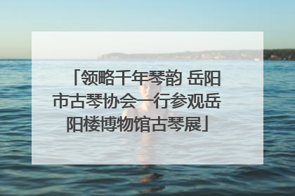 领略千年琴韵 岳阳市古琴协会一行参观岳阳楼博物馆古琴展