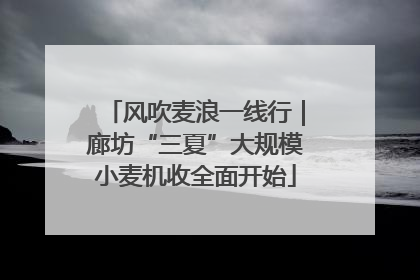 风吹麦浪一线行｜廊坊“三夏”大规模小麦机收全面开始