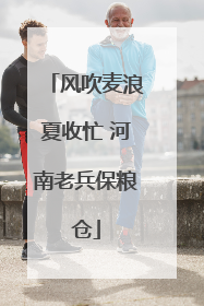 风吹麦浪夏收忙 河南老兵保粮仓