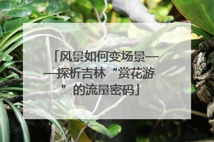 风景如何变场景——探析吉林“赏花游”的流量密码