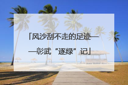 风沙刮不走的足迹——彰武“逐绿”记
