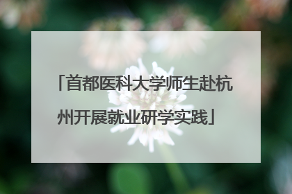 首都医科大学师生赴杭州开展就业研学实践