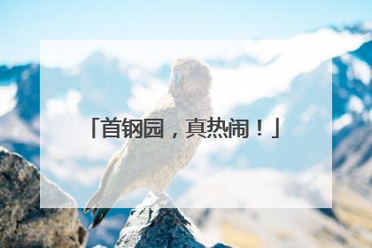 首钢园，真热闹！