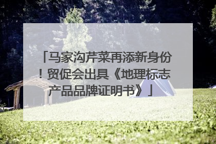 马家沟芹菜再添新身份！贸促会出具《地理标志产品品牌证明书》