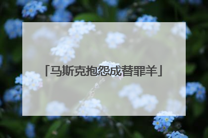 马斯克抱怨成替罪羊
