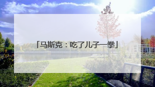 马斯克：吃了儿子一拳