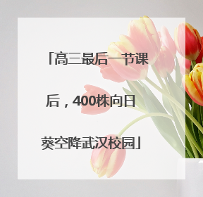 高三最后一节课后，400株向日葵空降武汉校园