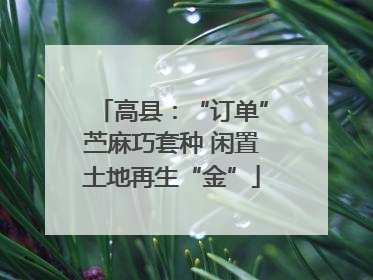 高县：“订单”苎麻巧套种 闲置土地再生“金”