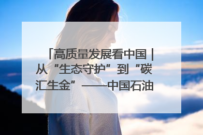 高质量发展看中国｜从“生态守护”到“碳汇生金”——中国石油大庆油田绿色蝶变