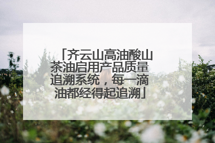 齐云山高油酸山茶油启用产品质量追溯系统，每一滴油都经得起追溯