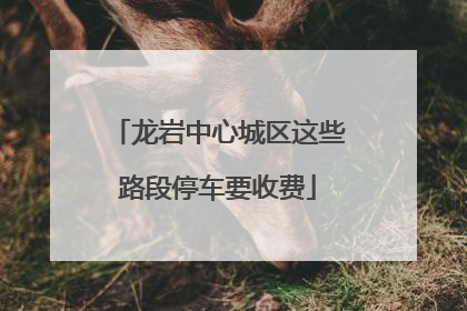 龙岩中心城区这些路段停车要收费