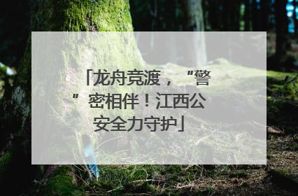 龙舟竞渡，“警”密相伴！江西公安全力守护