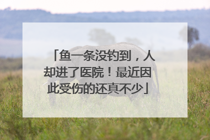 鱼一条没钓到，人却进了医院！最近因此受伤的还真不少